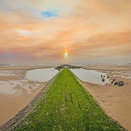 In With Sea View * Middelkerke